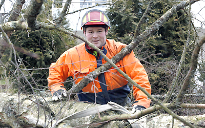 Philipp Schäfer - ihr Fachmann für Holzverarbeitung